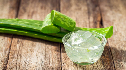 4 Reasons that Aloe Vera is the Best Natural Skin Care Product